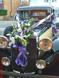 Sapphire Wedding Car Hire 1070562 Image 1